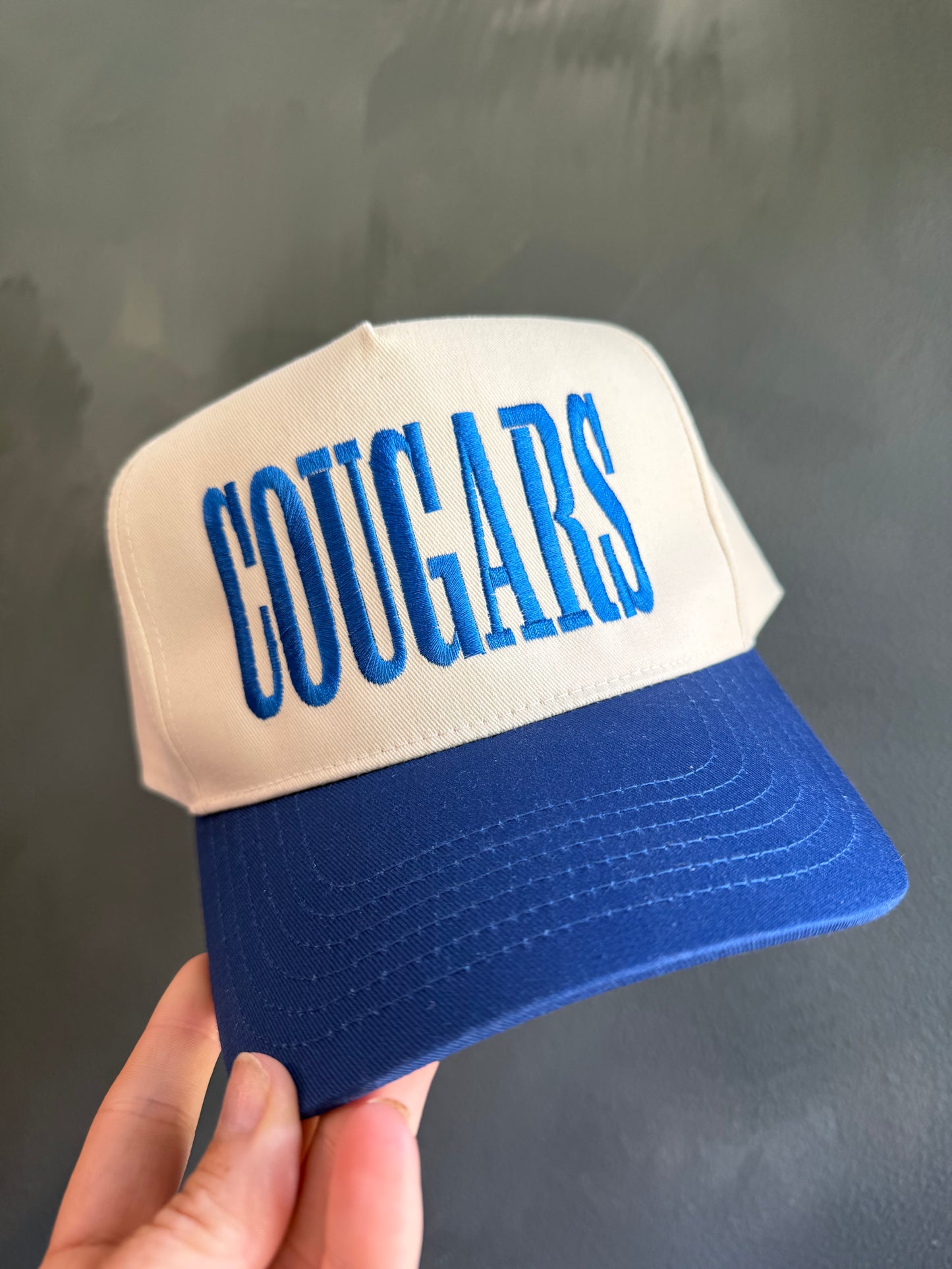 COUGARS Embroidered Hat