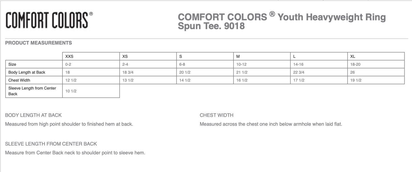 Plan & Purpose Youth & Adult T-Shirt - 1717