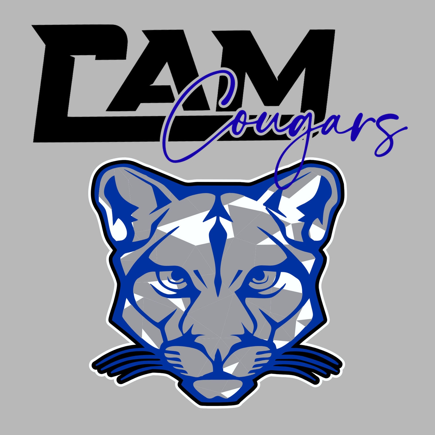 CAM Schools