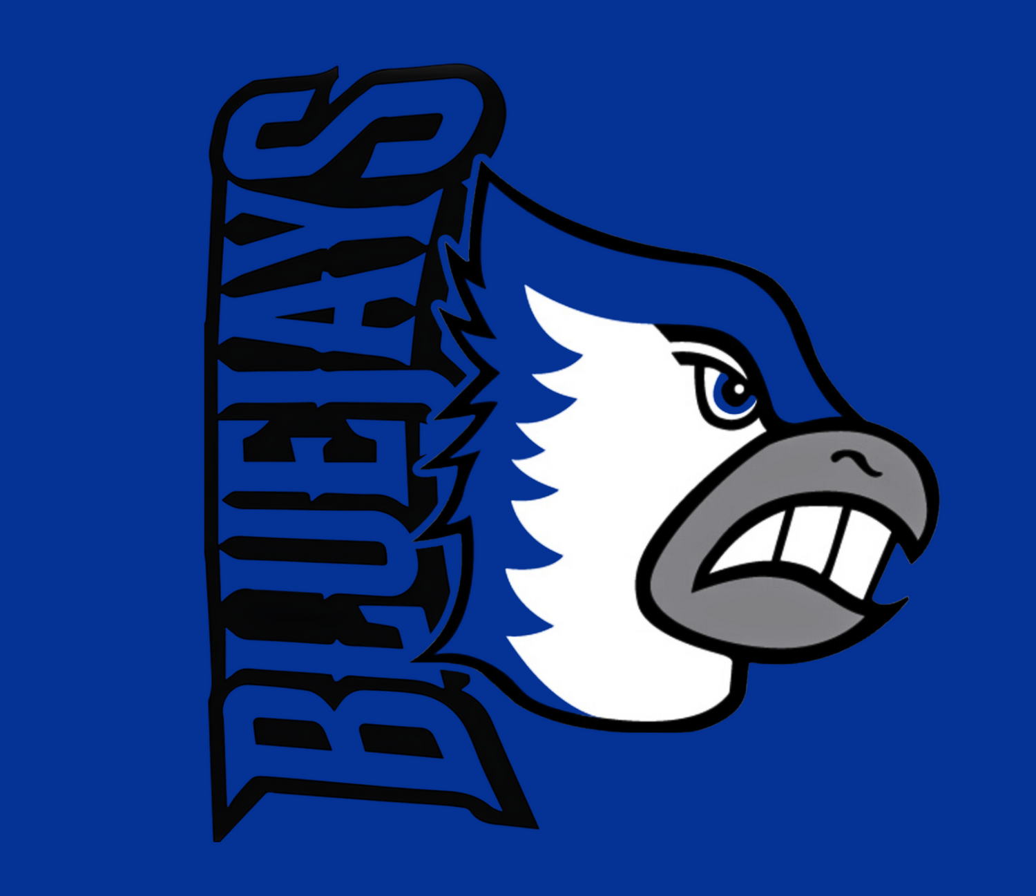 Bondurant Bluejays