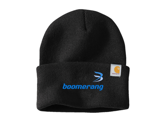 Carhartt® Watch Cap 2.0 CT104597