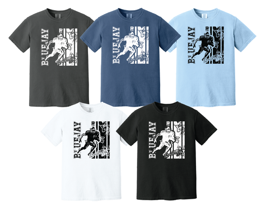 Comfort Colors® Heavyweight Ring Spun Tee. 1717