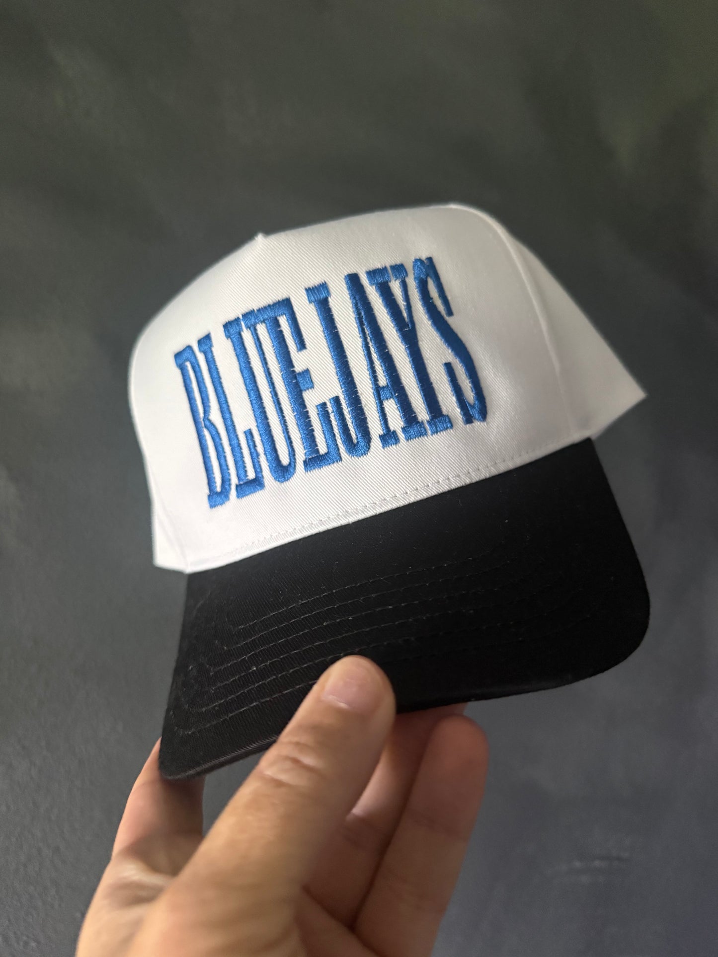 Custom Mascot Twill Embroidered Hat