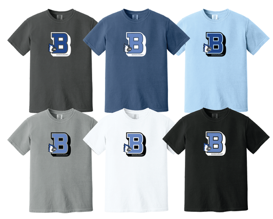 Comfort Colors® Heavyweight Ring Spun Tee. 1717